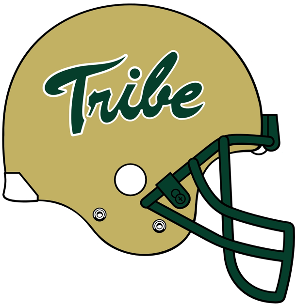 William and Mary Tribe 2009-2015 Helmet Logo iron on paper